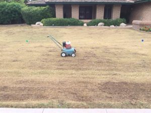 Dethatch prep work