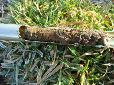 soil sample - 2 - The PLUGman Law Aeration & Landscape